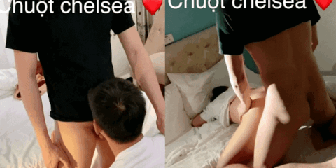 Gay Viet Nam