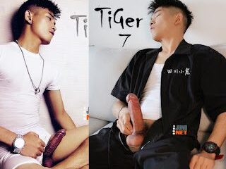 TiGer 7+8 四川小虎