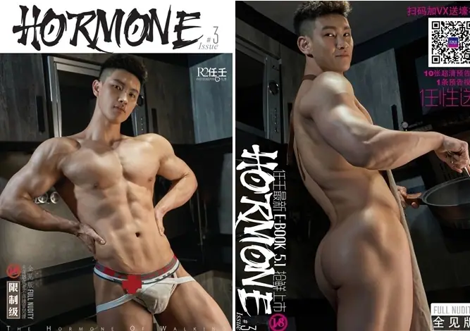 HORMONE 03 – Aran